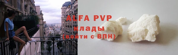 винт Верея