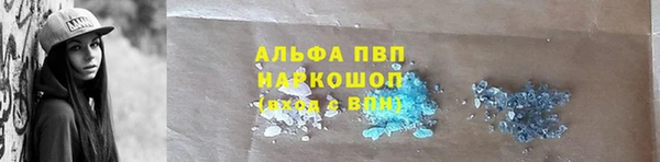винт Верея