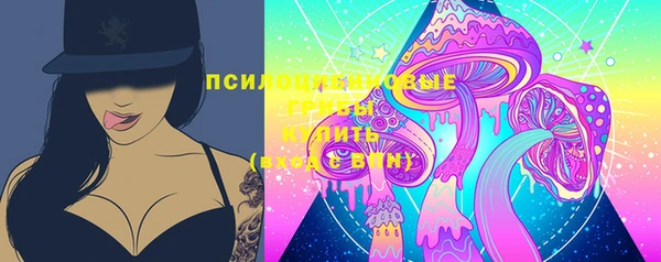 МДПВ Верхний Тагил