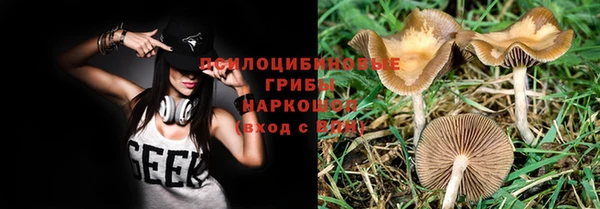 винт Верея
