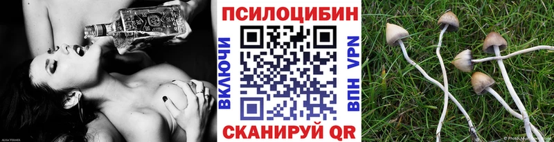 mega зеркало  Лыткарино  Галлюциногенные грибы ЛСД  как найти закладки 