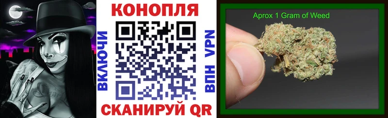 Бошки Шишки ГИДРОПОН  Лыткарино 